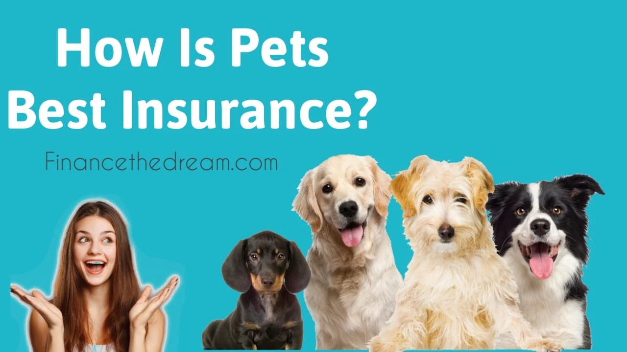 How Is Pets Best Insurance